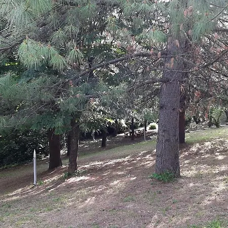 Stanza Doppia In Dell'800 *