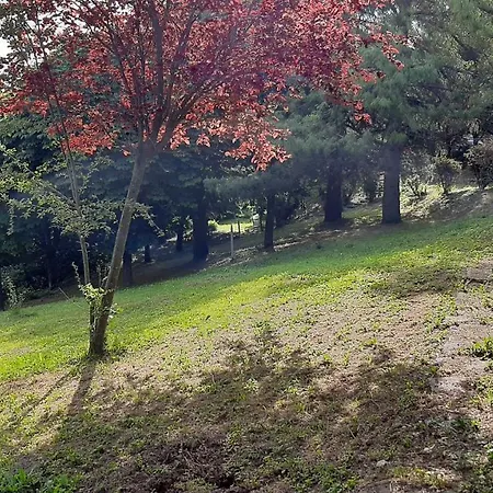 Homestay szállás Stanza Doppia In Dell'800 Groppovisdomo